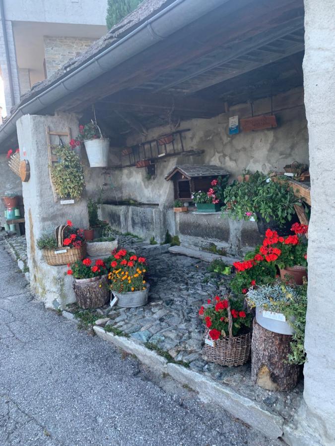 Casa Iolanda Διαμέρισμα Bognanco Εξωτερικό φωτογραφία